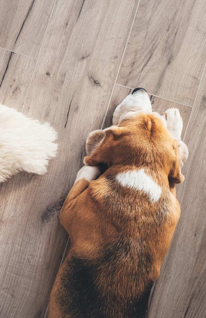 Free Flooring Estimate Weatherford Texas Homeowners